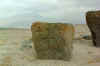 stonbrok.jpg (18764 bytes)